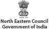 NEC